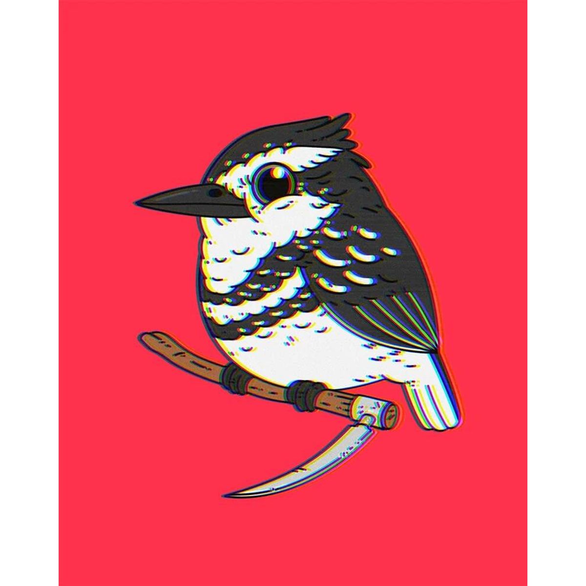 Pied Kingfisher (Saturday Morning Variant)