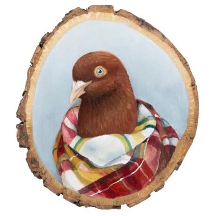Pigeon In a Plaid Scarf by Diana Teeter