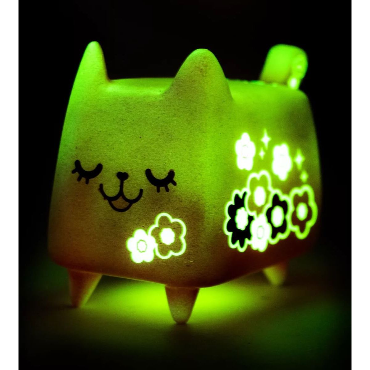 Pink Blossom Boxcat (A) GID