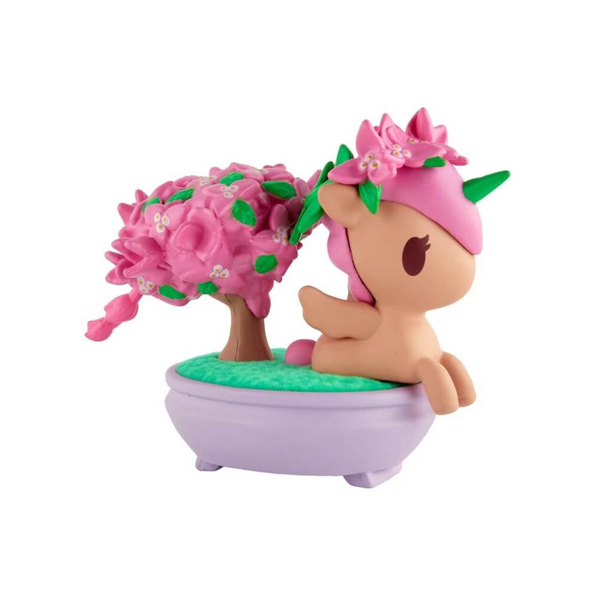 Pink Bougainvillea Bonsai (Special Edition)