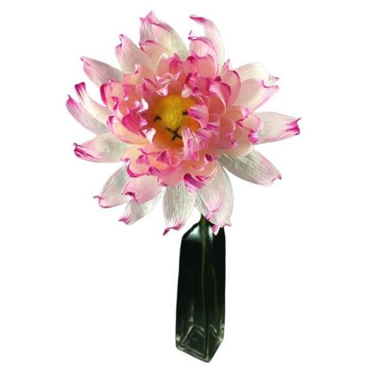 Pink Dahlia Flower Bun 1 by plushPLAY (Mariangela Tan)