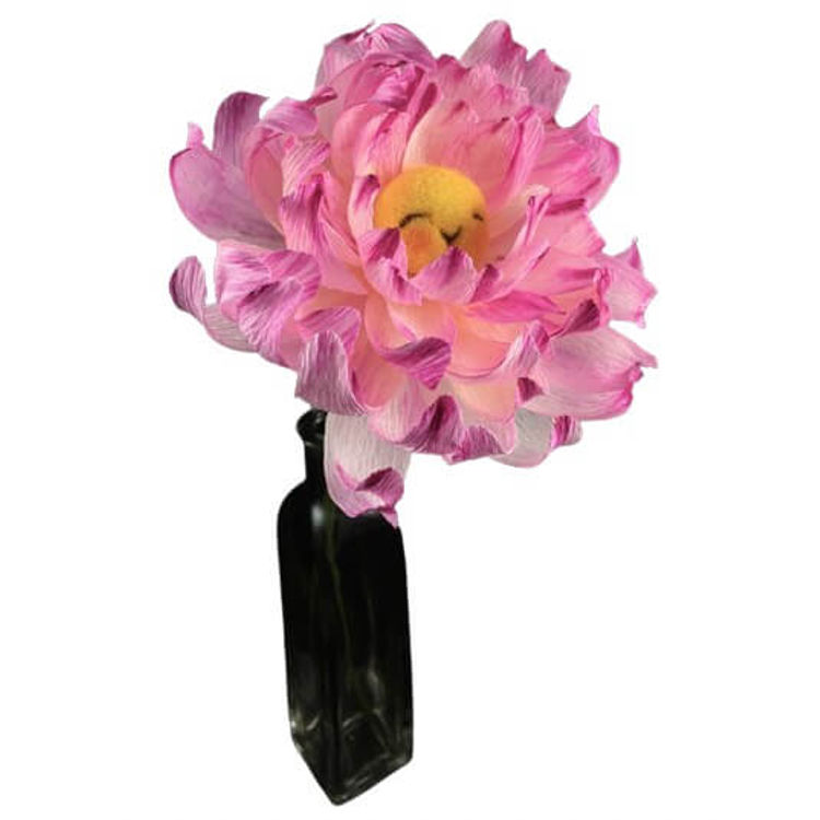 Pink Dahlia Flower Bun 2 by plushPLAY (Mariangela Tan)