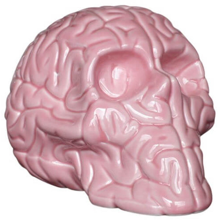 Pink Porcelain Skull Brain by Emilio Garcia