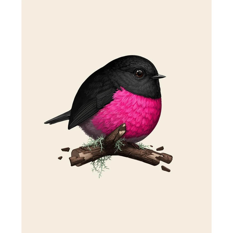 Pink Robin by Mike Mitchell