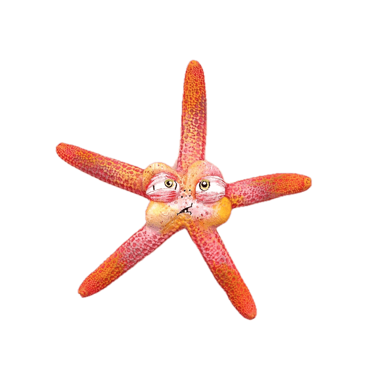 Pink Starfish by One Eyed Girl (Kasey Tararuj)