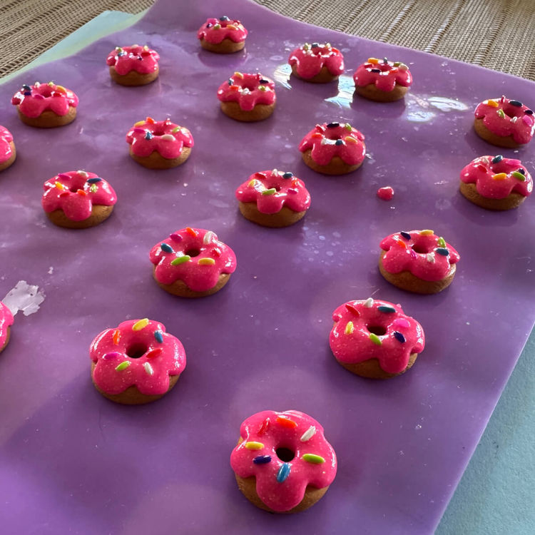 Pinkfetti Donut Mini Magnet SOLD OUT by Julie Parrish