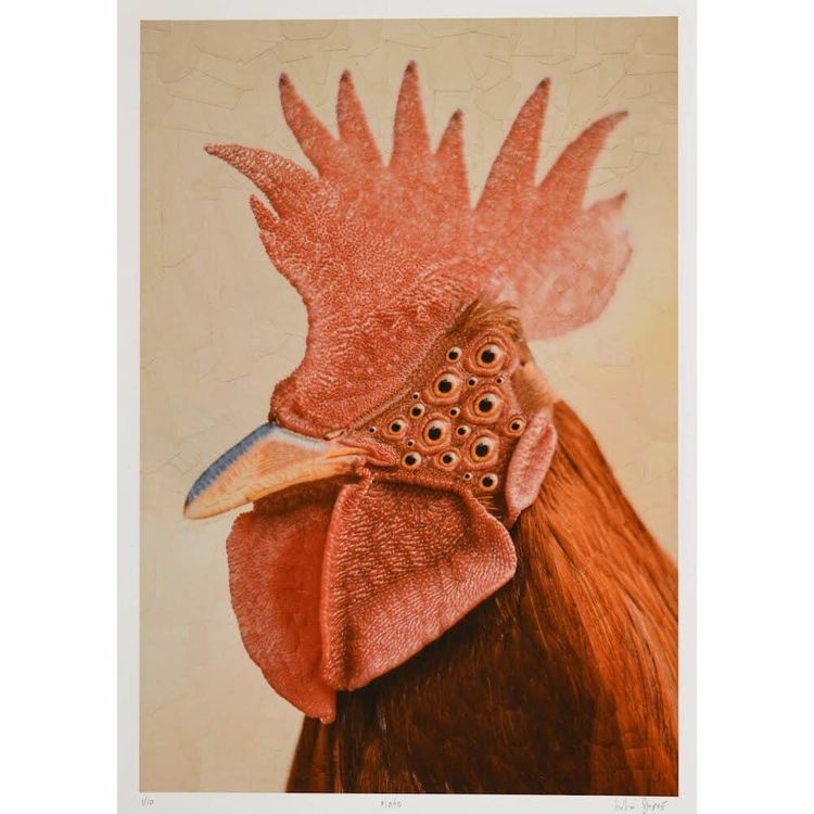 Plato by Lola Dupré