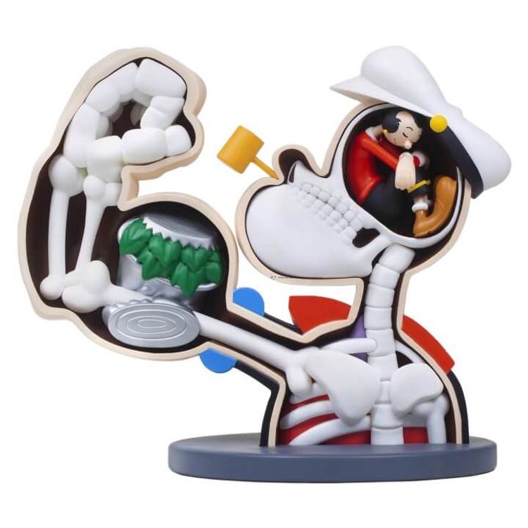 Popeye Anatomy by RX