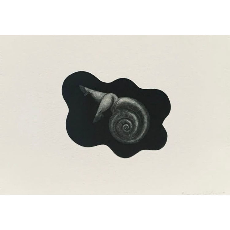 Pretty Leg Snail by Miho Sato