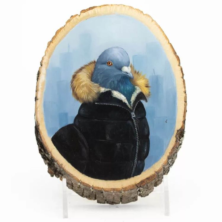 Puffy Coat Pigeon by Diana Teeter