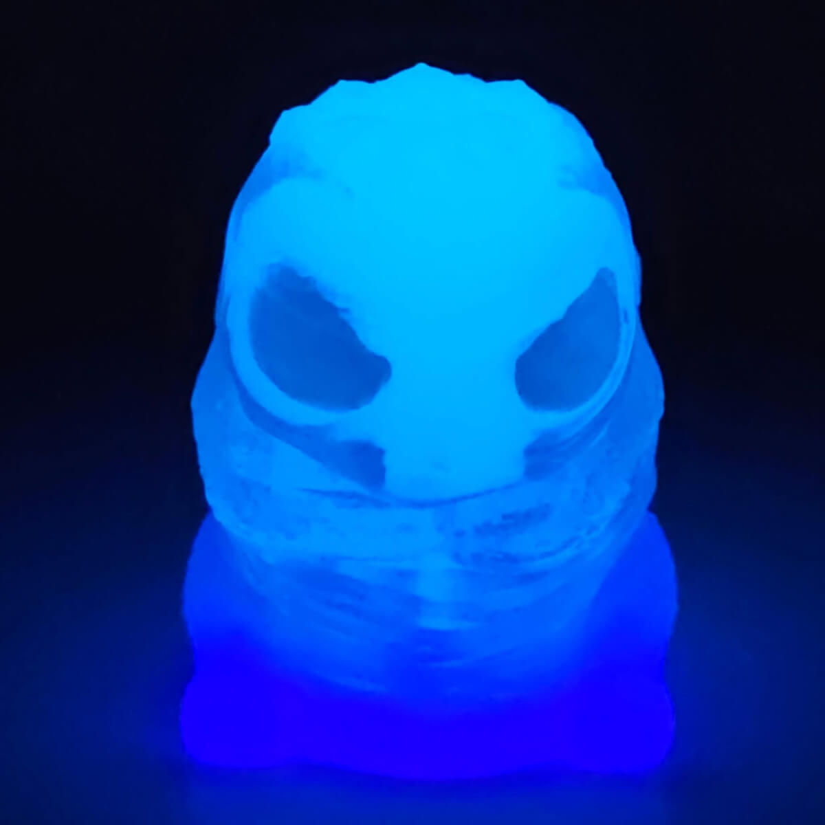 Blue Skelly/Purp Bottom - Double Cast Gus