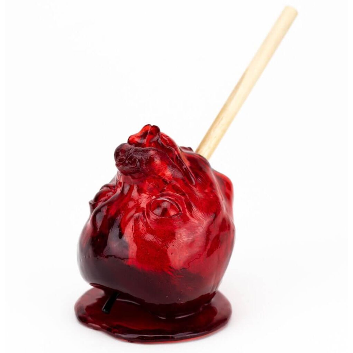 R – Candy Apple Head Chihuahua – 3