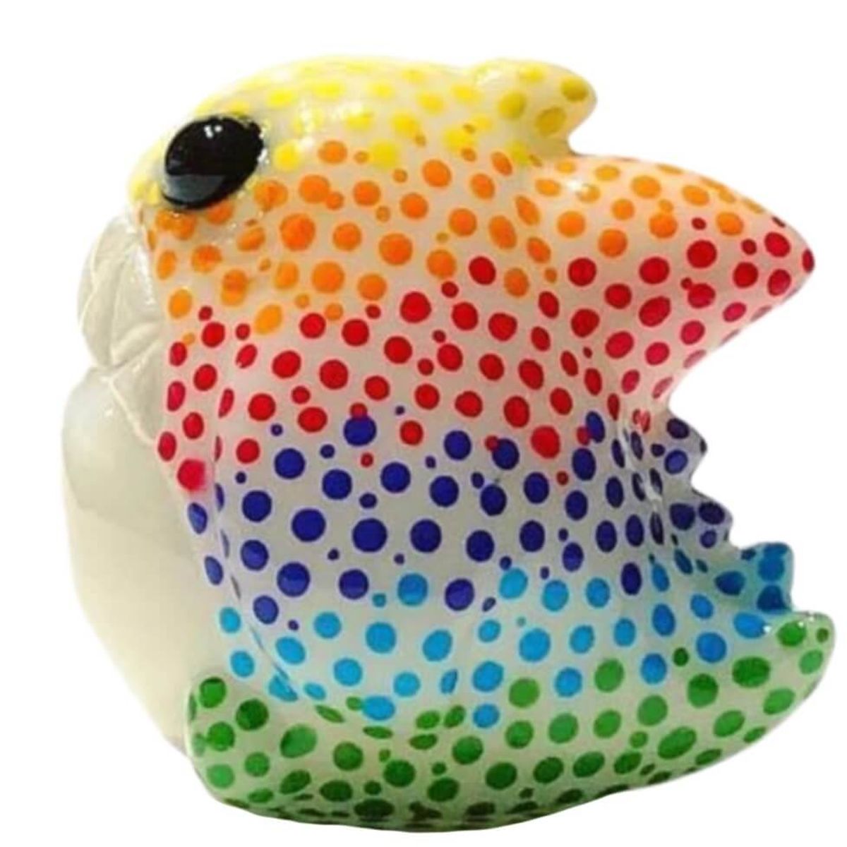 Rainbiw Dots Samego Micro