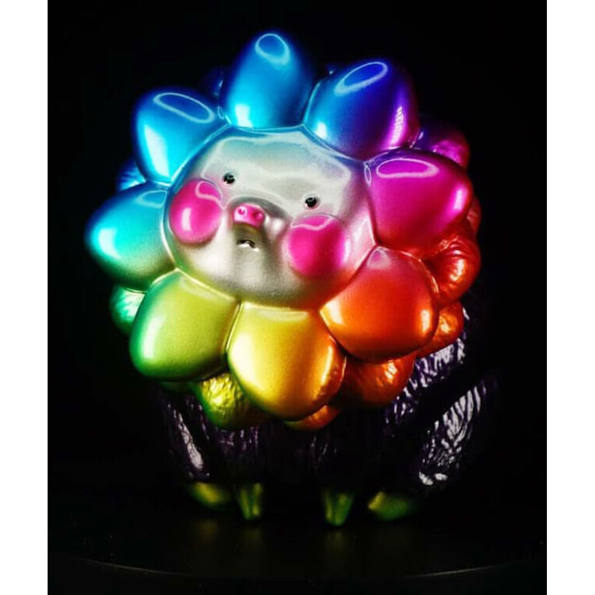 Rainbow Flower Veron