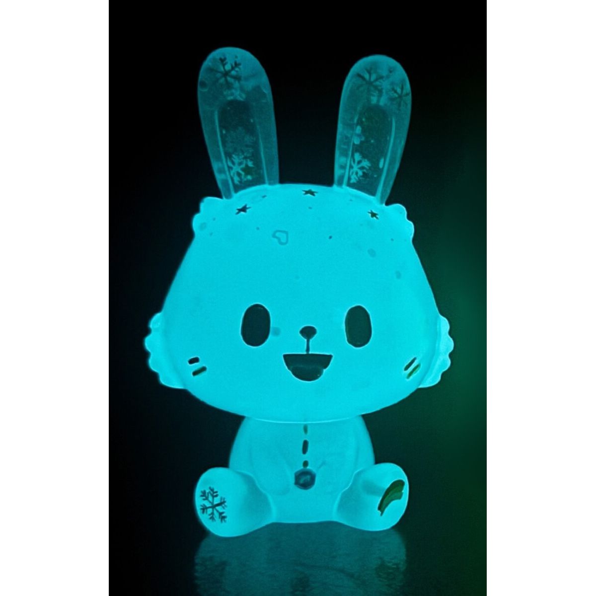 Rainbow Snow Robin GID