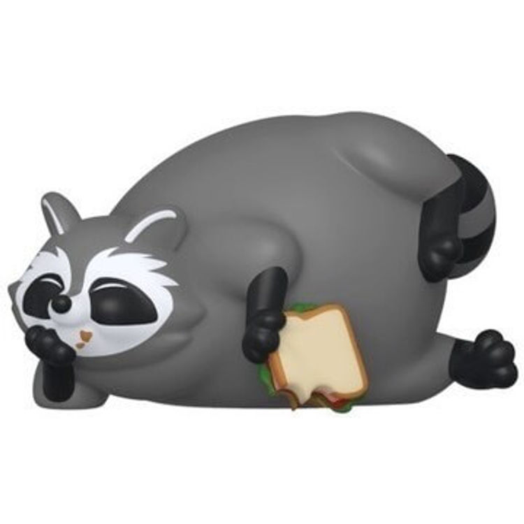 Ralph Raccoon (Common) by Funko