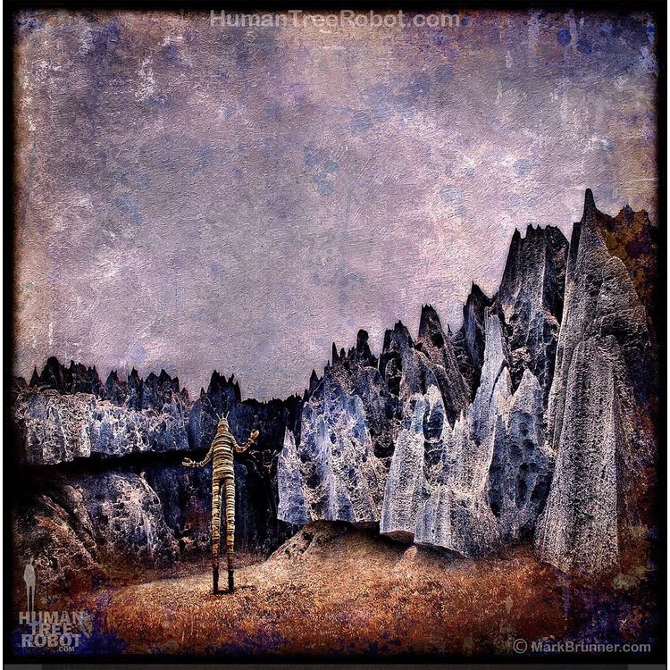 RobotC Rocks Lanscape by HumanTreeRobot