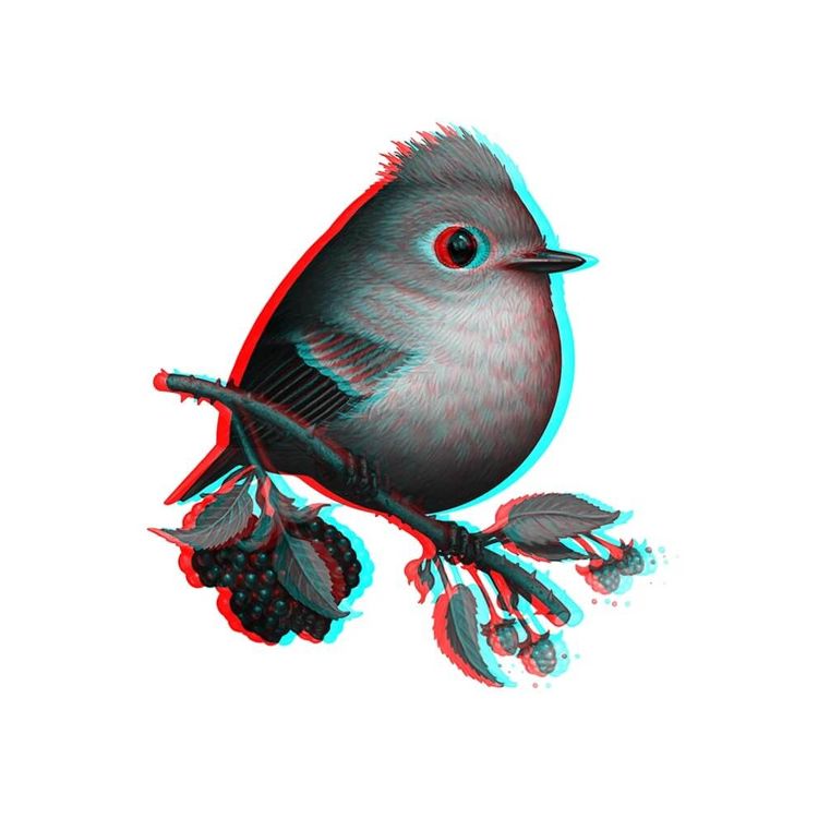 Ruby-Crowned Kinglet 3D by Mike Mitchell