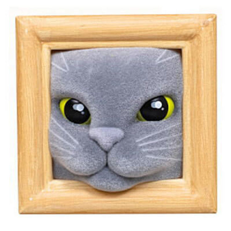 Russian Blue Cat  by Qualia