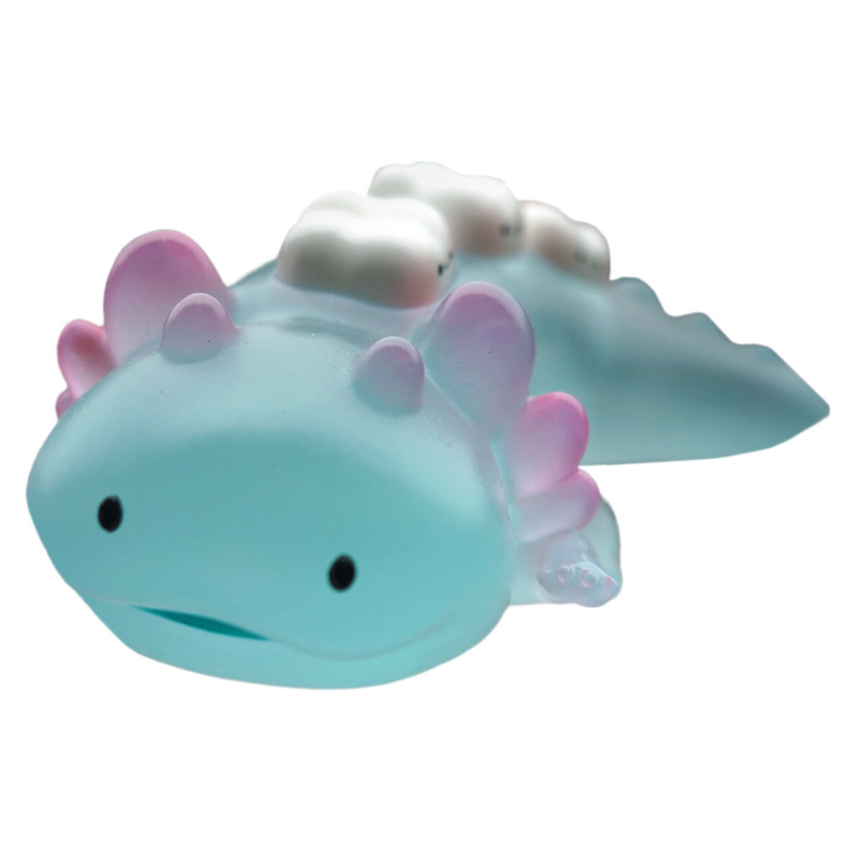 Salamander Night Bus