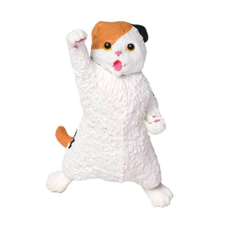 Scottish Fold by Yell World