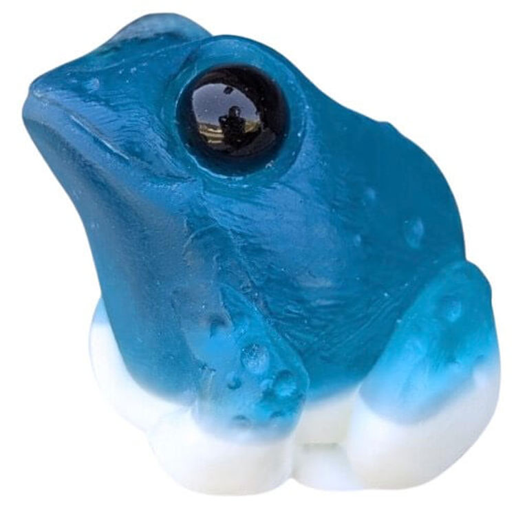 Shark Gummy Tog by Hazel Owlery