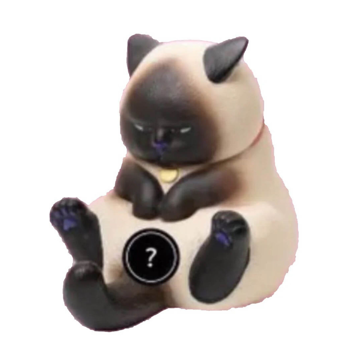Siamese Cat