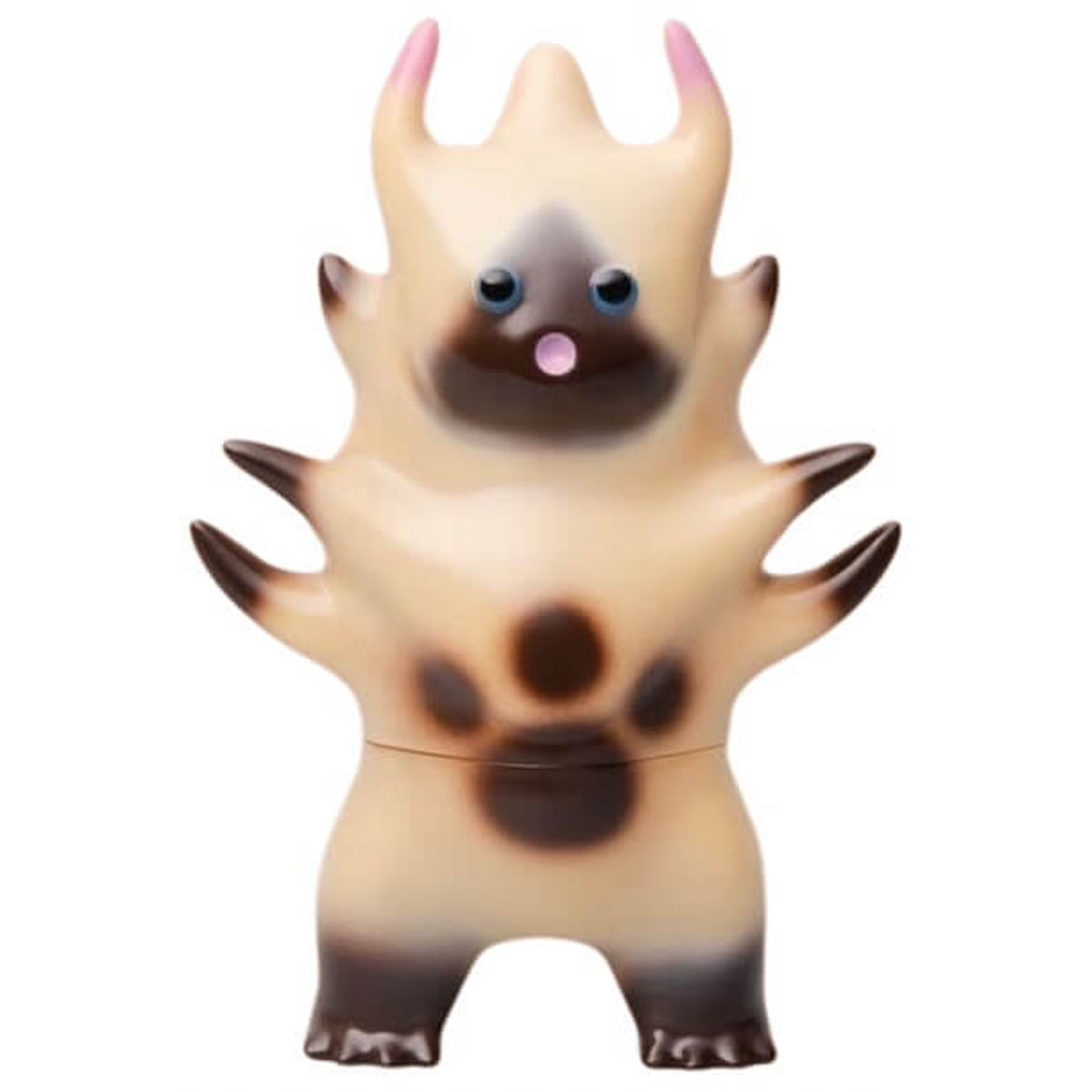 Siamese Feline Sea Star