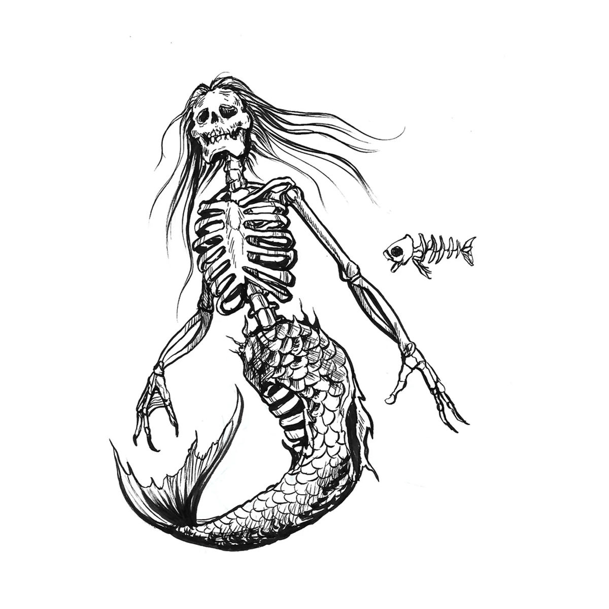 Skeleton Mermaid