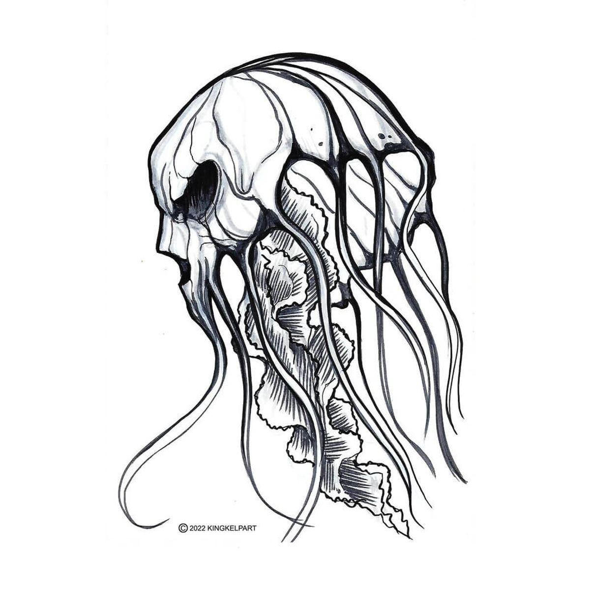 Skull Jellyfish