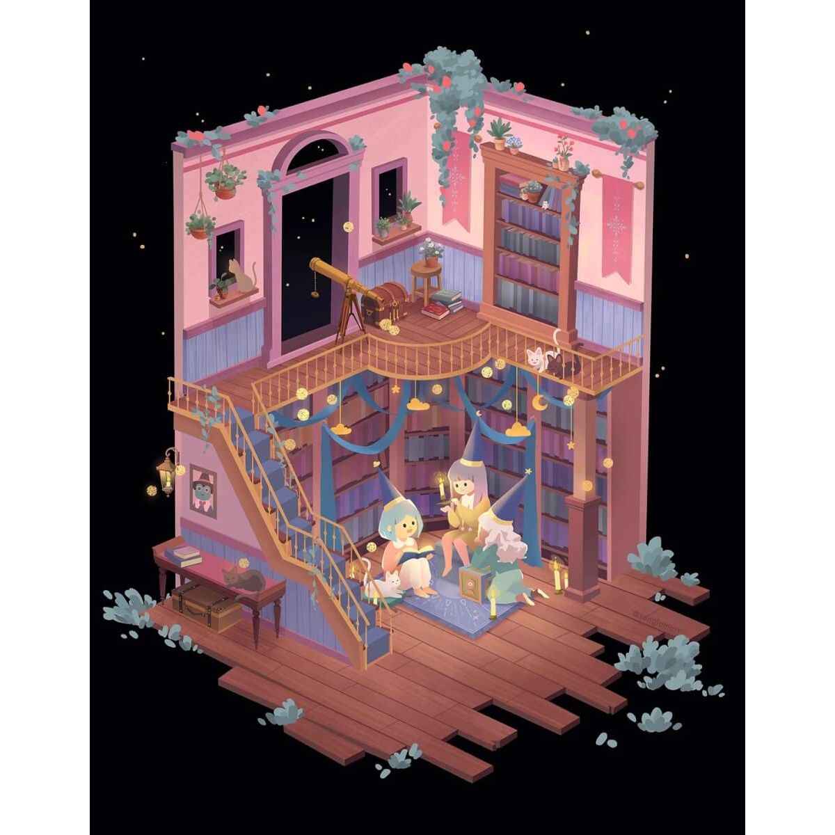 Sleep Over Library