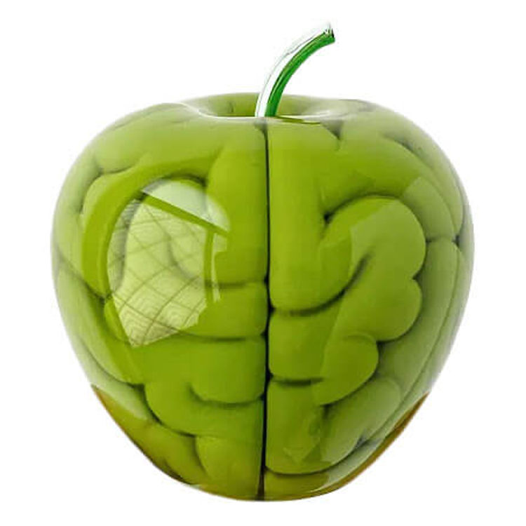 Small Forbidden Brain Lime by Emilio Garcia