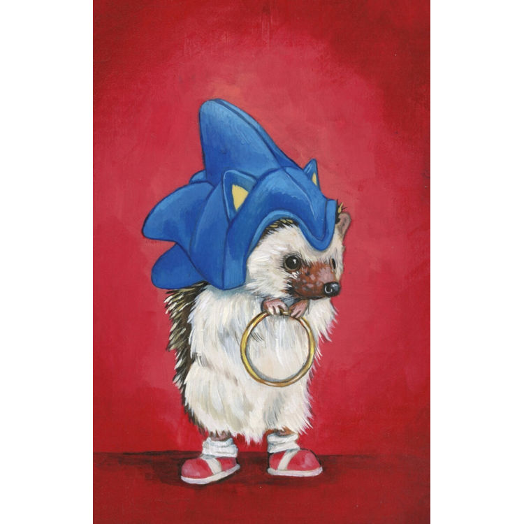 Sonic the Hedgehog by Diana Teeter