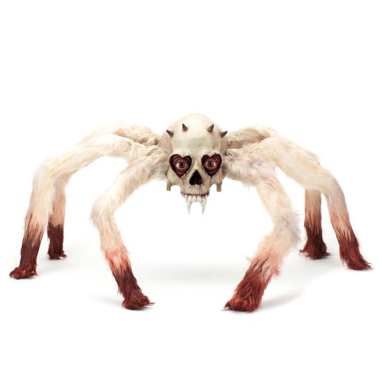 Spider Skull by Jim McKenzie