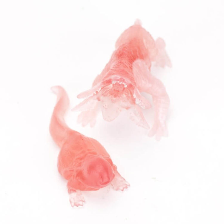 Stranger Things Demodog and Dart (Pink) by HasNoTalent (Chad Harrington)