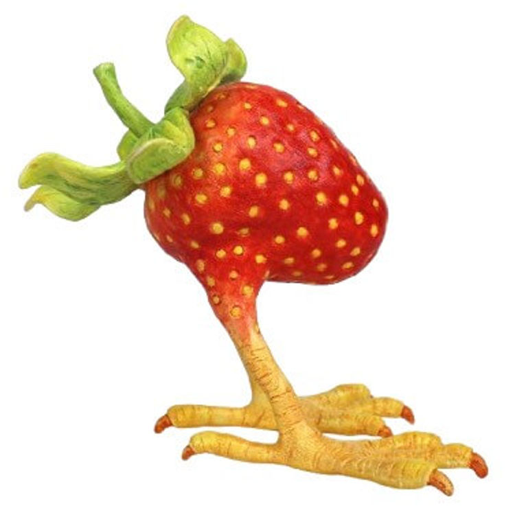 Strawberry Bird by Melissa Sue Stanley