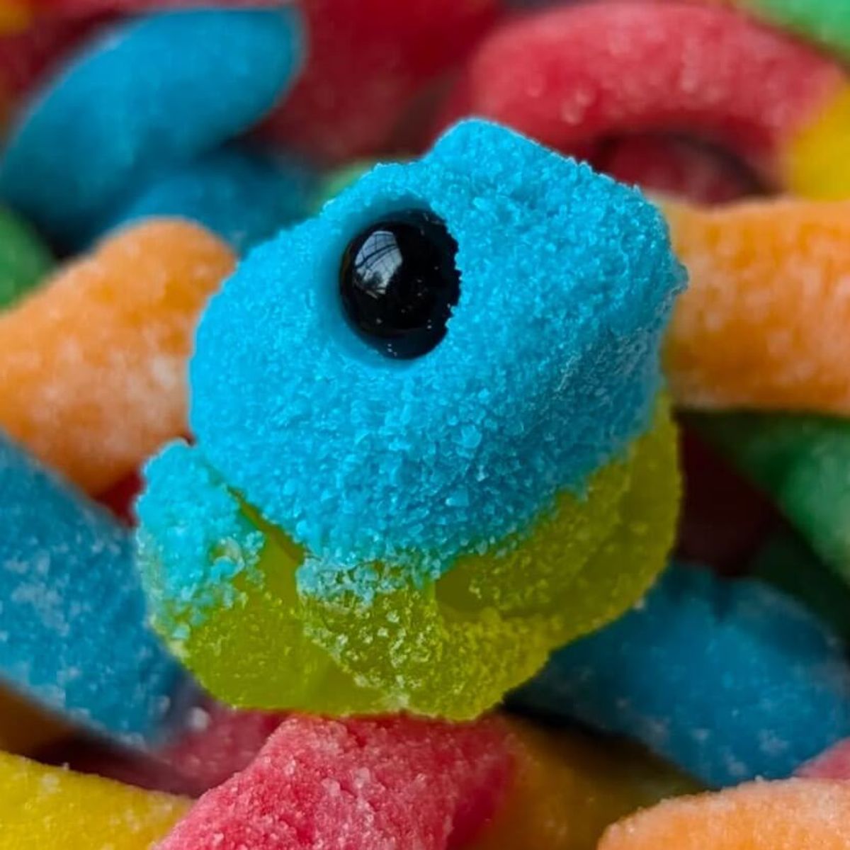 Sugar Blue Punch Tog