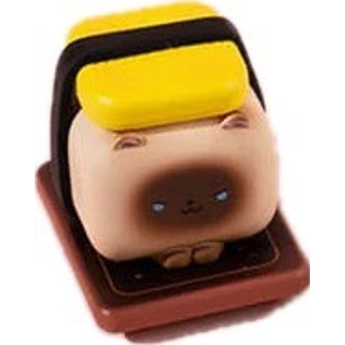 Tamagoyaki Siamese Cat