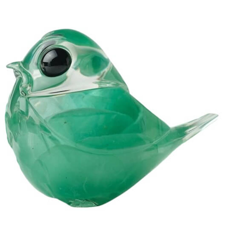 Teal Time Robin by Muffinman (Malte Fulda)