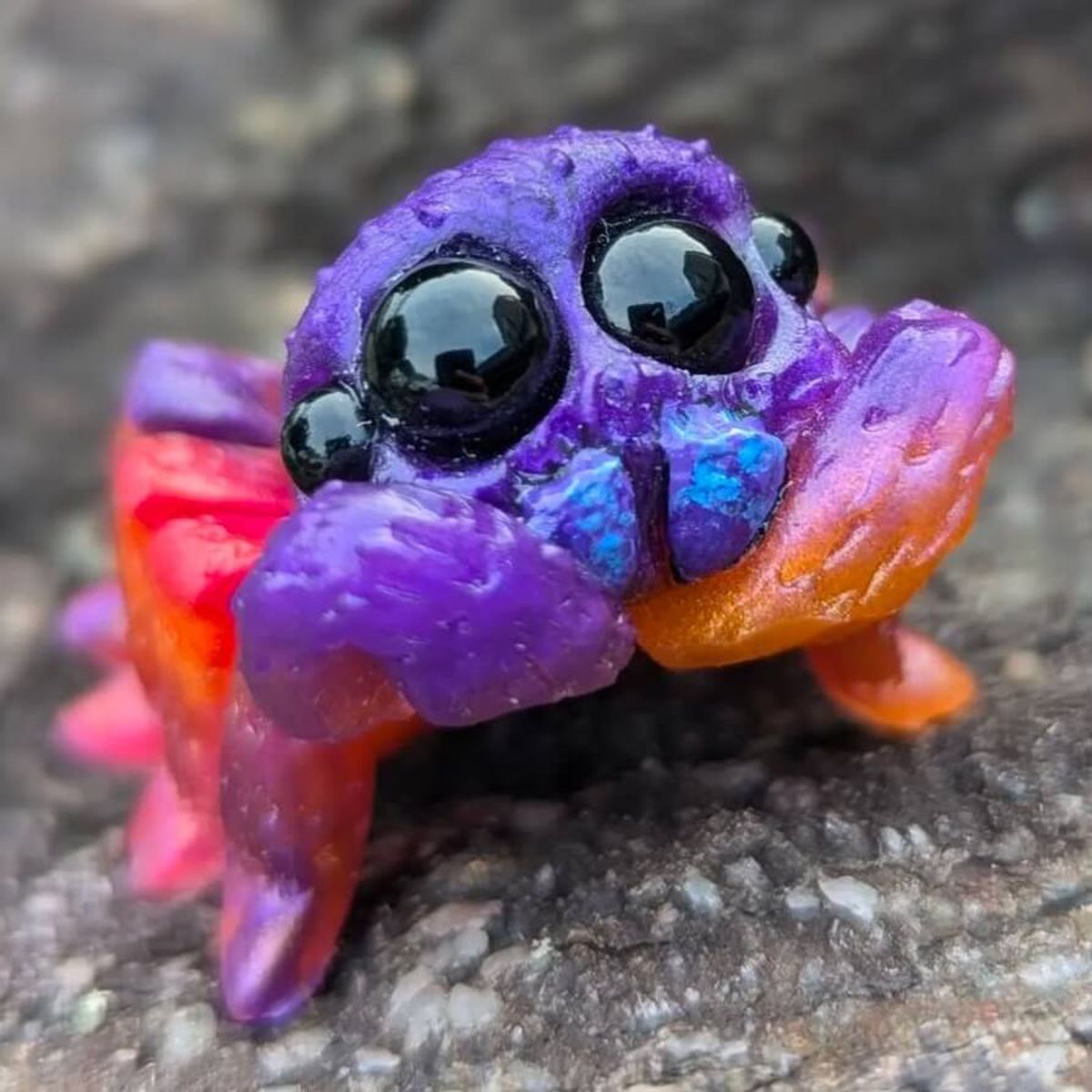 Tequila Sunrise Spider