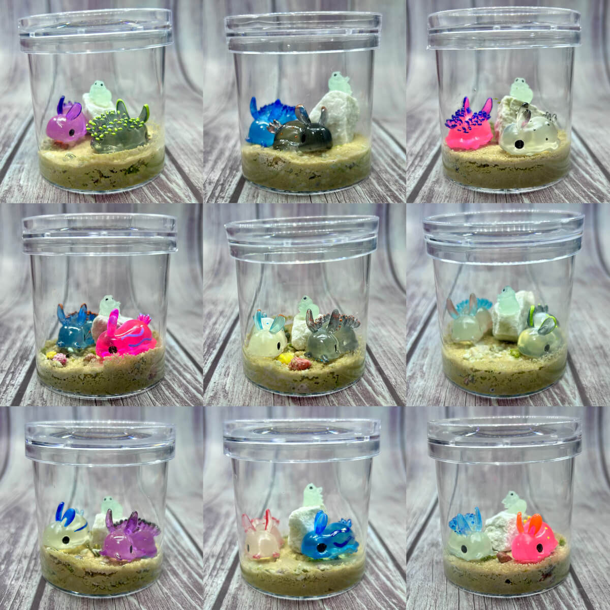 Terry & the Nudibranches