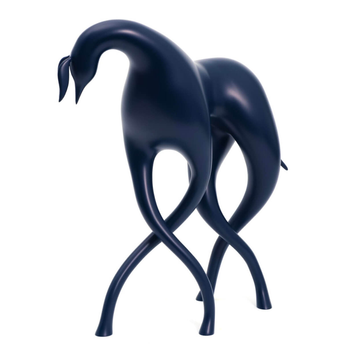 The Hidden Struggles Dark Blue