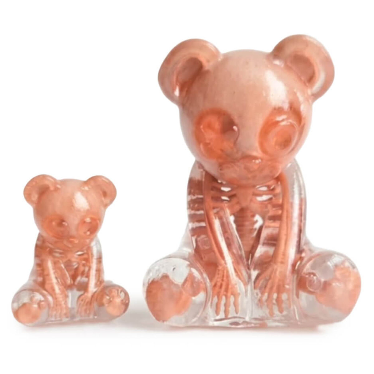 Transparency XO Orange