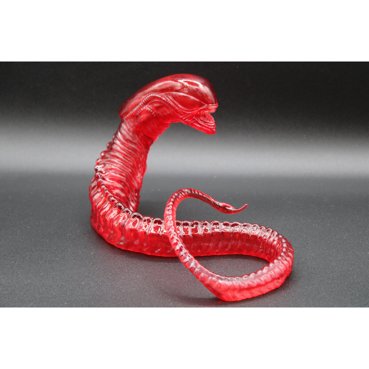 Transparent Ruby Chester