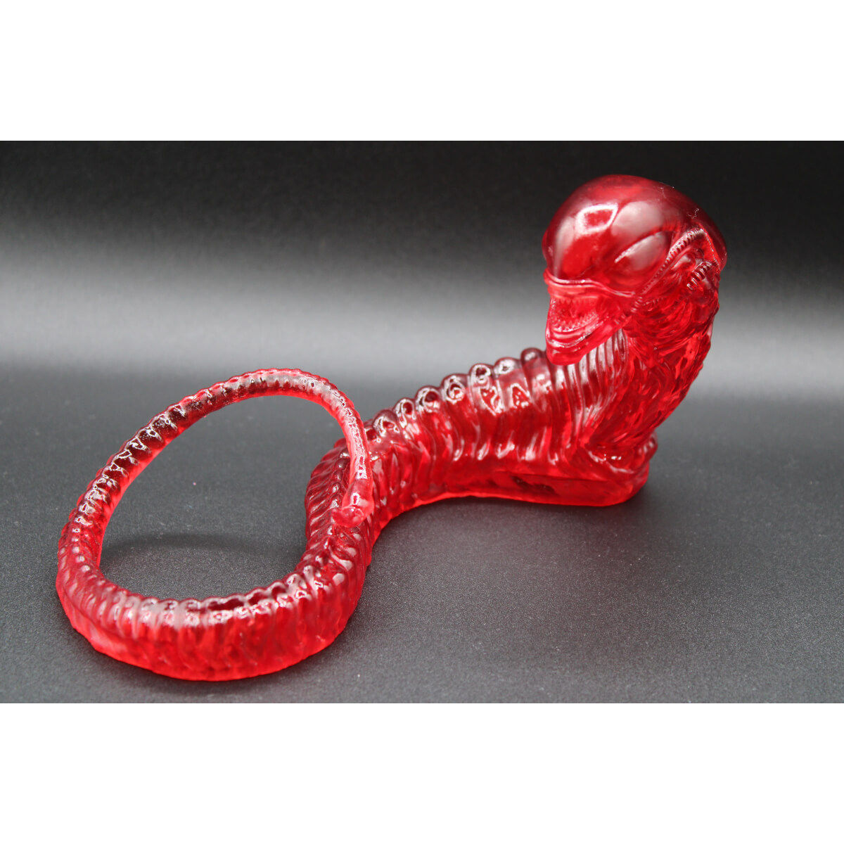 Transparent Ruby Chester