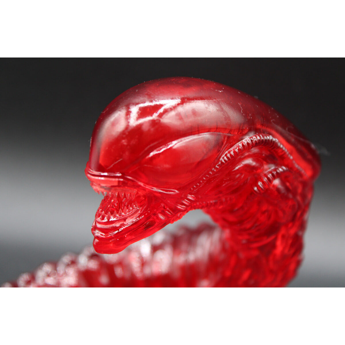 Transparent Ruby Chester