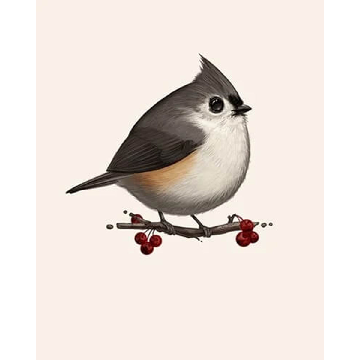 Tufted Titmouse