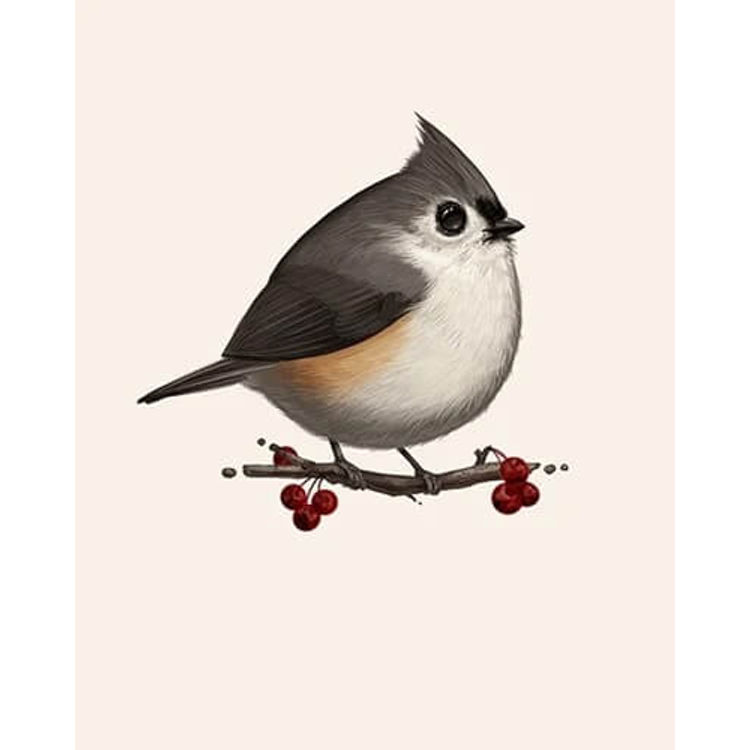 Tufted Titmouse by Mike Mitchell