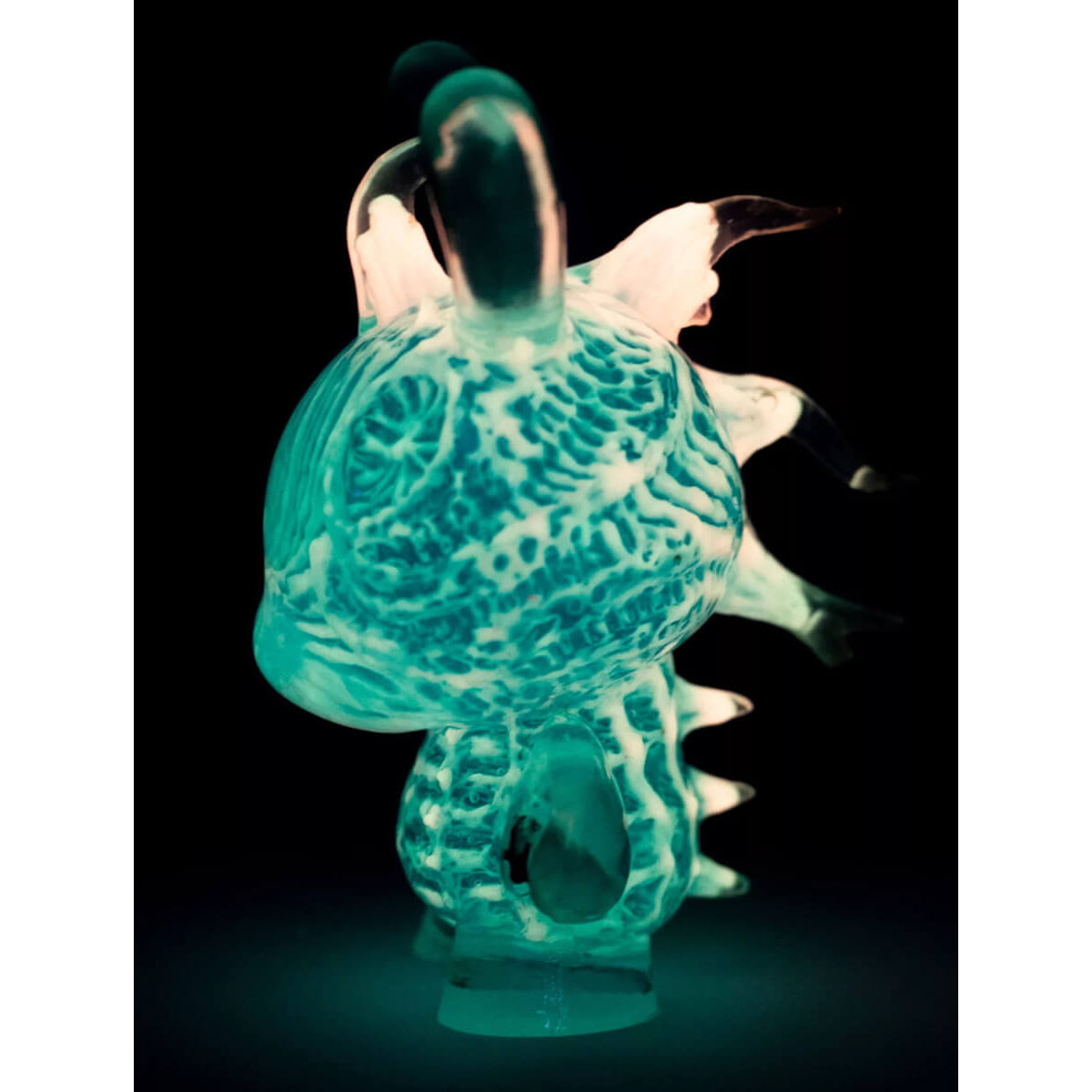 Unreleased Seahorse Dunny Prototype