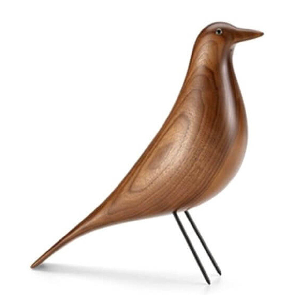Walnut Bird